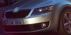 1skoda